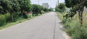  Plot – Exterior View View at Salarpur Jalalpur - for Sale