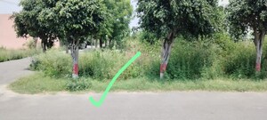  Plot – Garden View at Salarpur Jalalpur - for Sale