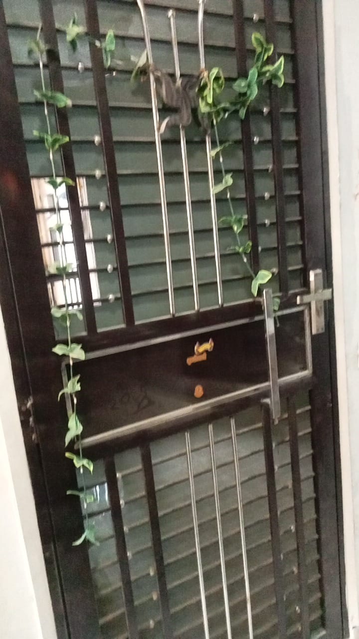 2.5 BHK Apartment For Rent in Amrapali Golf Homes