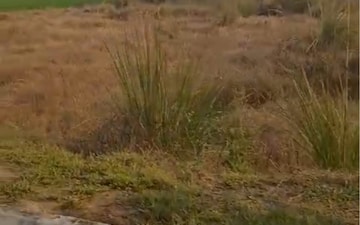 Plot For Sale in Omaxe City