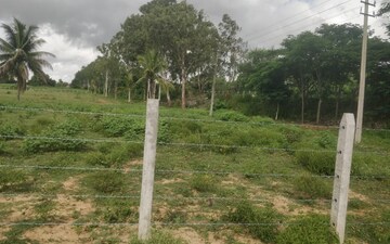 Plot For Sale in Nagashetty Halli