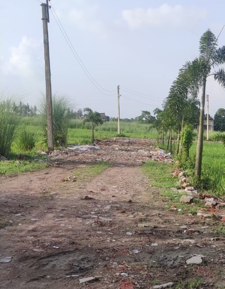 undefined, joka  2880 Sq.Ft. Plot In Joka Kolkata 8603302