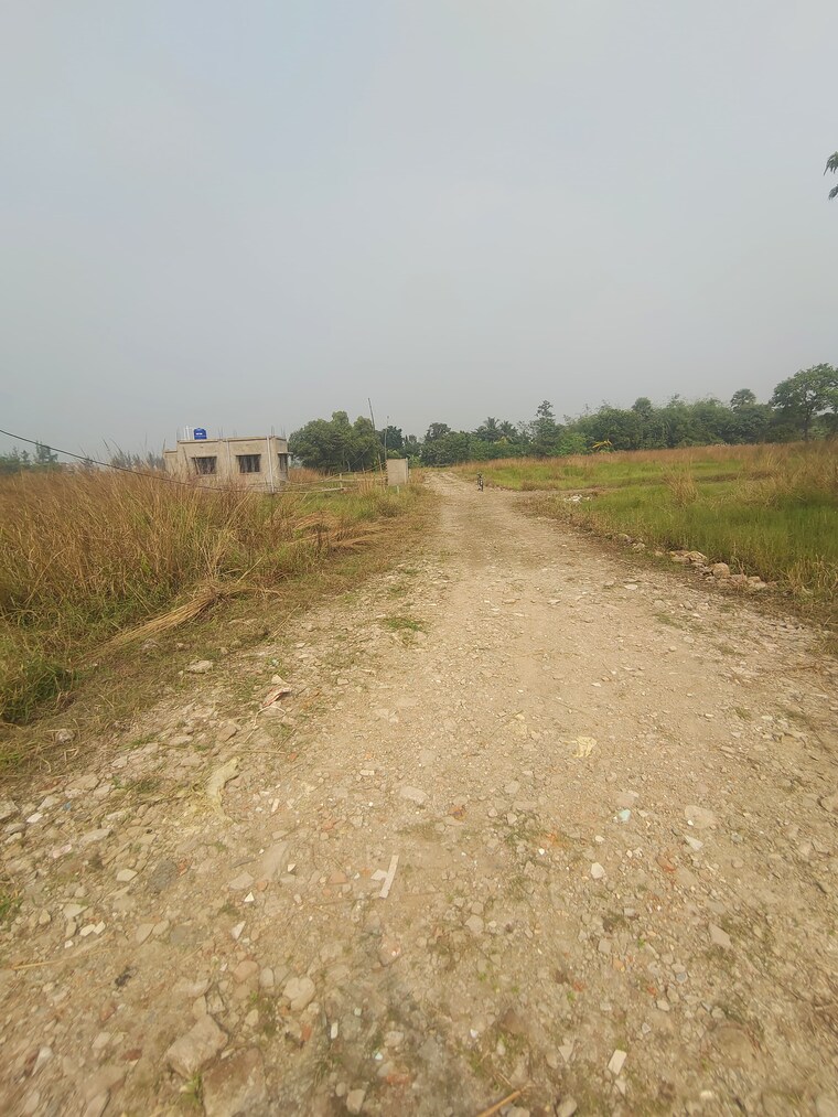 undefined, joka  2880 Sq.Ft. Plot In Joka Kolkata 8603312