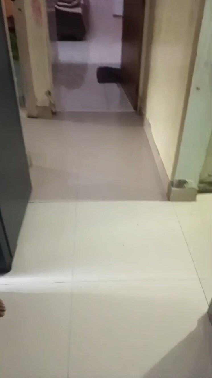 Room, bimbisar-nagar 2 Bedroom 800 Sq.Ft. Apartment In Goregaon East Mumbai 8603704