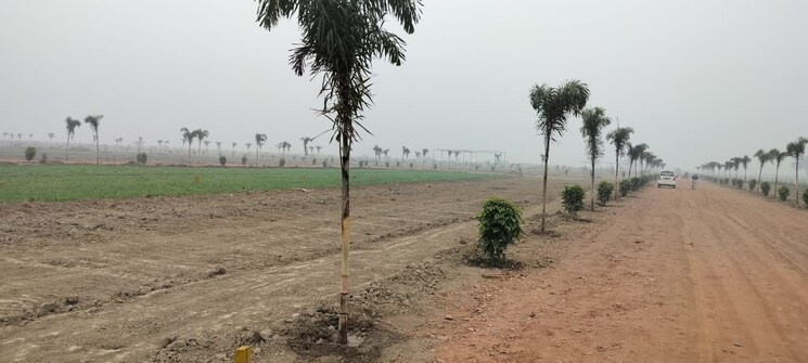 undefined, jewar  150 Sq.Yd. Plot In Jewar Greater Noida 8603853