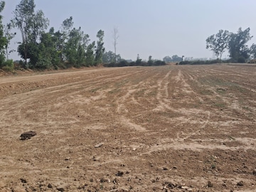 Plot Area in  Plot at Satrikh Road – for Sale