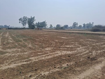 Plot Area in  Plot at Satrikh Road – for Sale