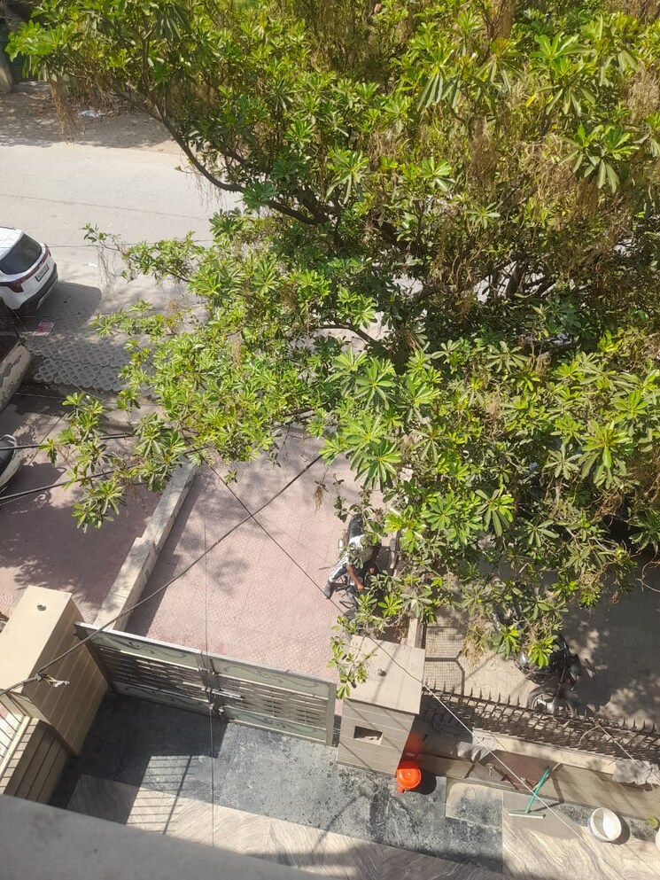 Exterior View, sector 28 3 Bedroom 2228 Sq.Ft. Independent House In Sector 28 Faridabad 8605230