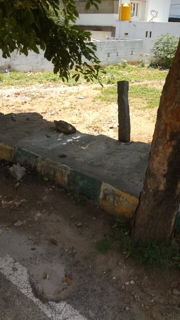  Plot For Sale in Nagarabhavi