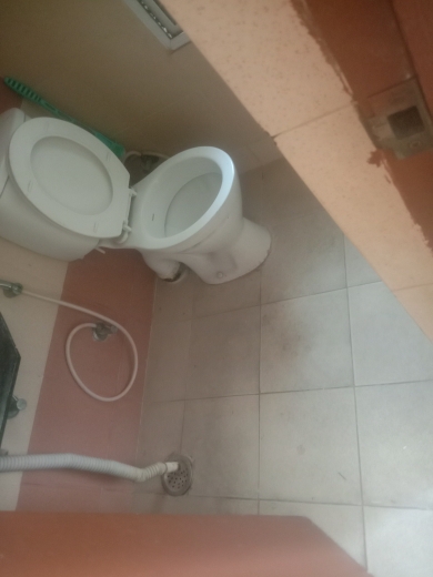 2 BHK + Pooja Room,Study Room Apartment For Rent in Mahagun Mywoods