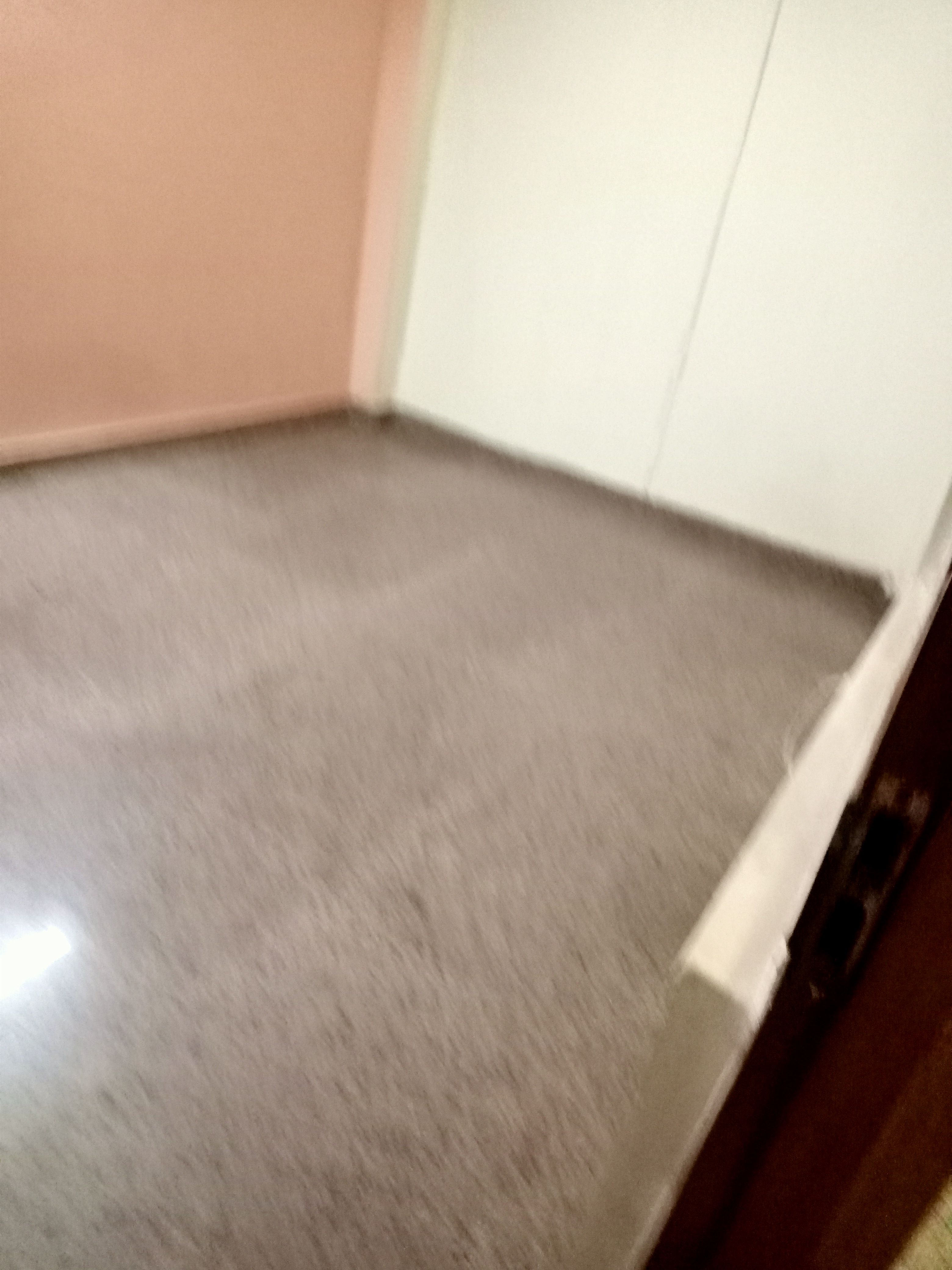 1 BHK Builder Floor For Rent in IGNOU Road