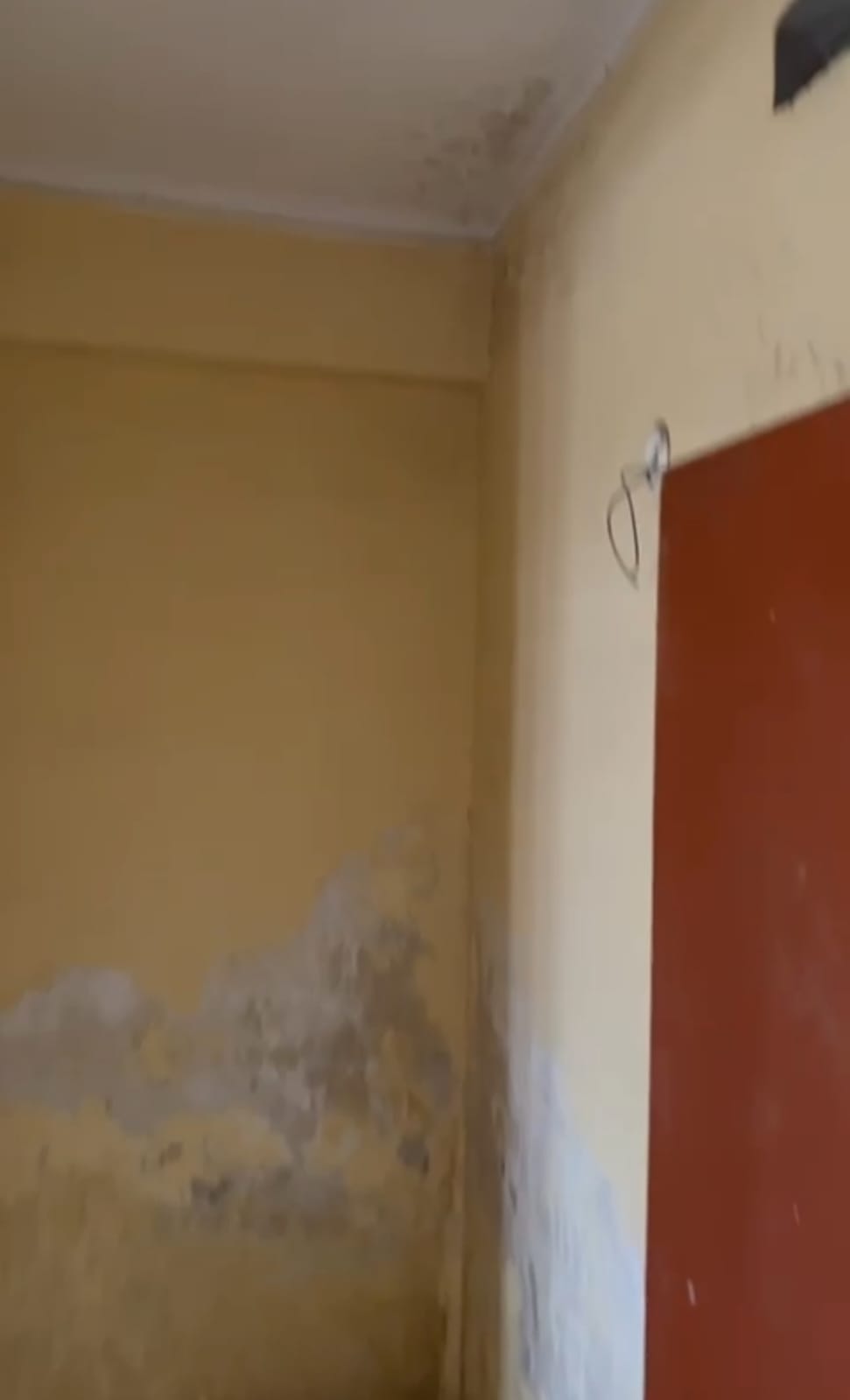 3 BHK Apartment For Sale in Ashoka Enclave