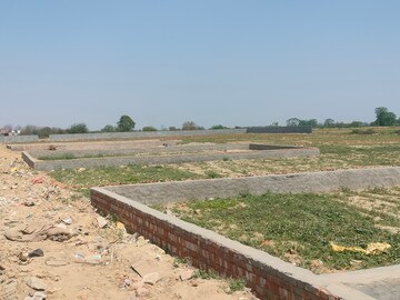 Plot Area in  Plot at Sector 135 – for Sale