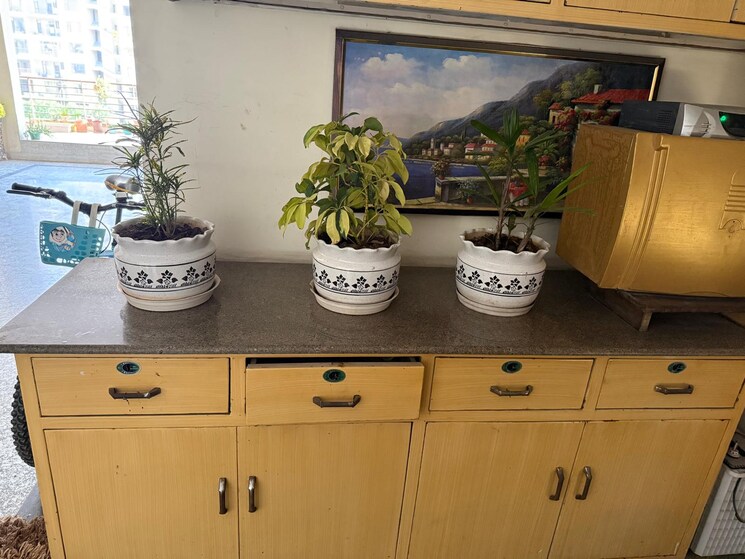 undefined, dhakoli 3 Bedroom 1800 Sq.Ft. Apartment In Dhakoli Zirakpur 8608150