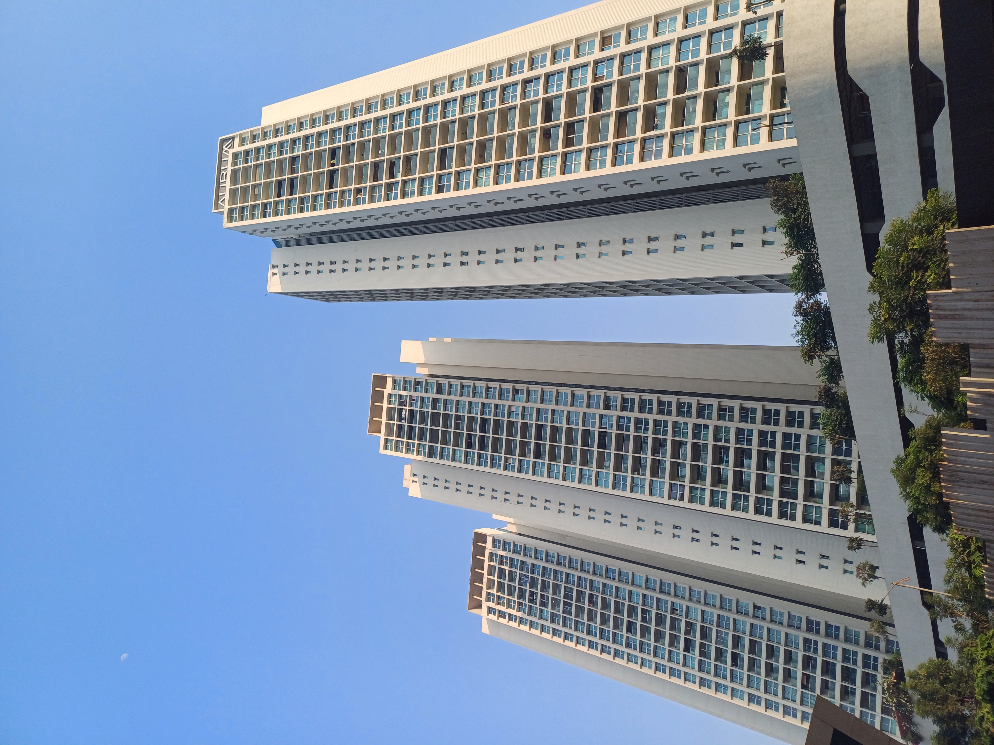 2 BHK Apartment For Rent in Aurum Q Residences