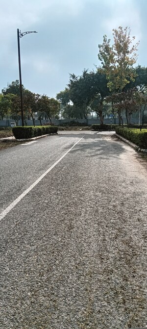 Parking in 3 BHK Builder Floor at M2K Olive Greens, Sector 104 – for Sale