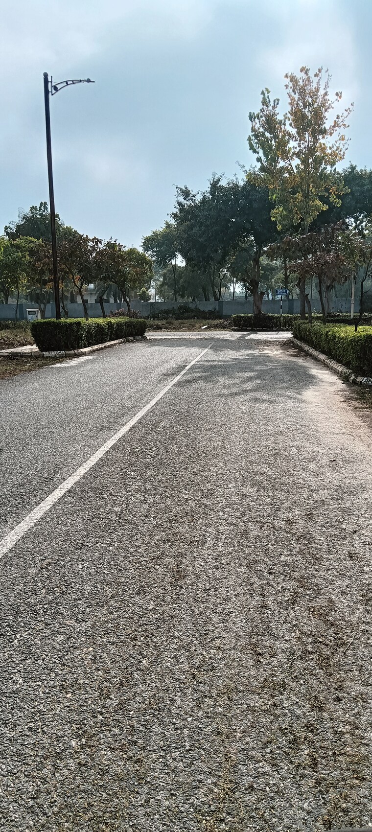  Parking, m2k-olive-greens 3 Bedroom 1550 Sq.Ft. Builder Floor In Sector 104 Gurgaon 8609295