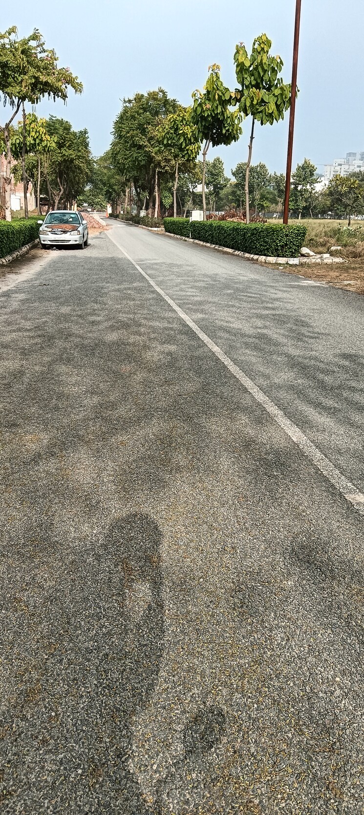 Master Bedroom, m2k-olive-greens 3 Bedroom 1550 Sq.Ft. Builder Floor In Sector 104 Gurgaon 8609295