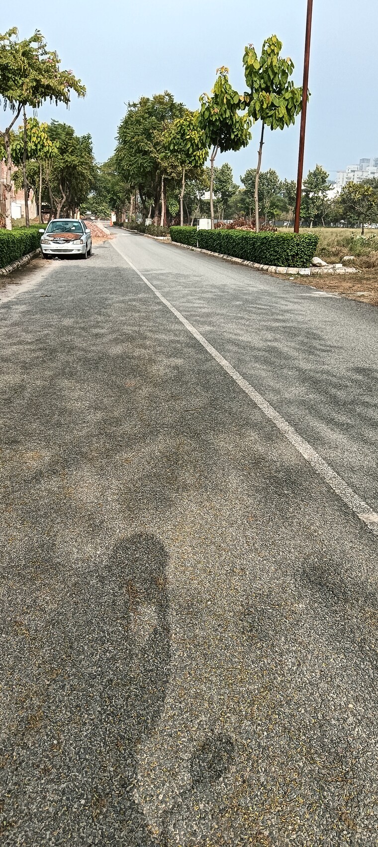 Master Bedroom, m2k-olive-greens 3 Bedroom 1550 Sq.Ft. Builder Floor In Sector 104 Gurgaon 8609295