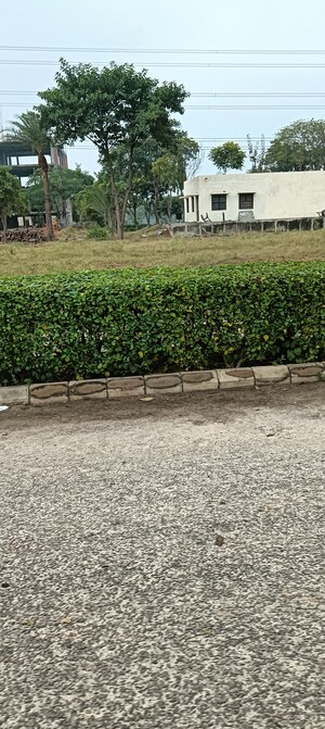 Master Bedroom in 3 BHK Builder Floor at M2K Olive Greens, Sector 104 – for Sale