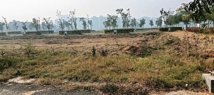 Master Bedroom, m2k-olive-greens 3 Bedroom 1550 Sq.Ft. Builder Floor In Sector 104 Gurgaon 8609295