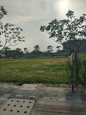  Plot For Sale in Sector 84