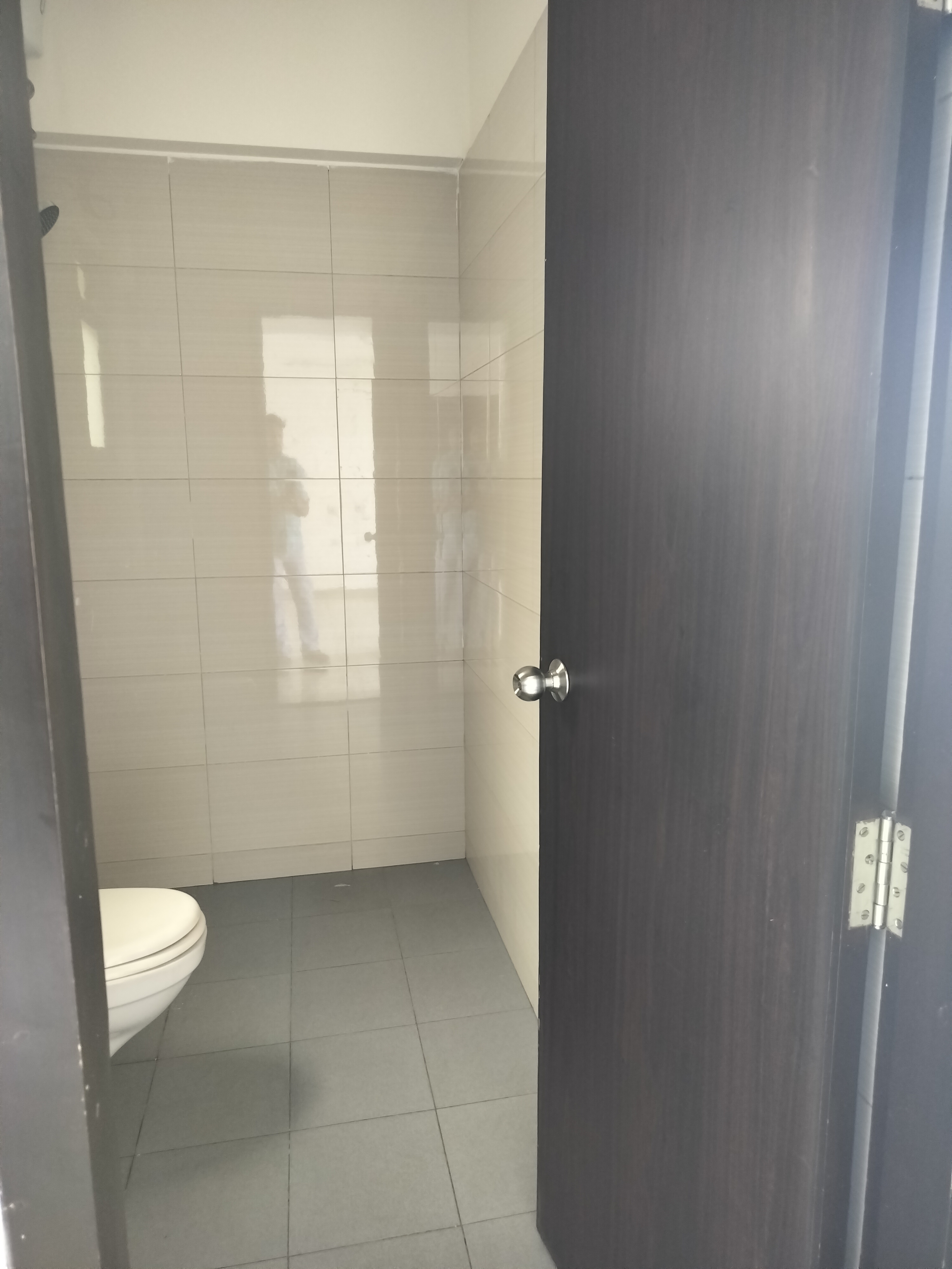 2 BHK Apartment For Rent in Amanora Future Towers