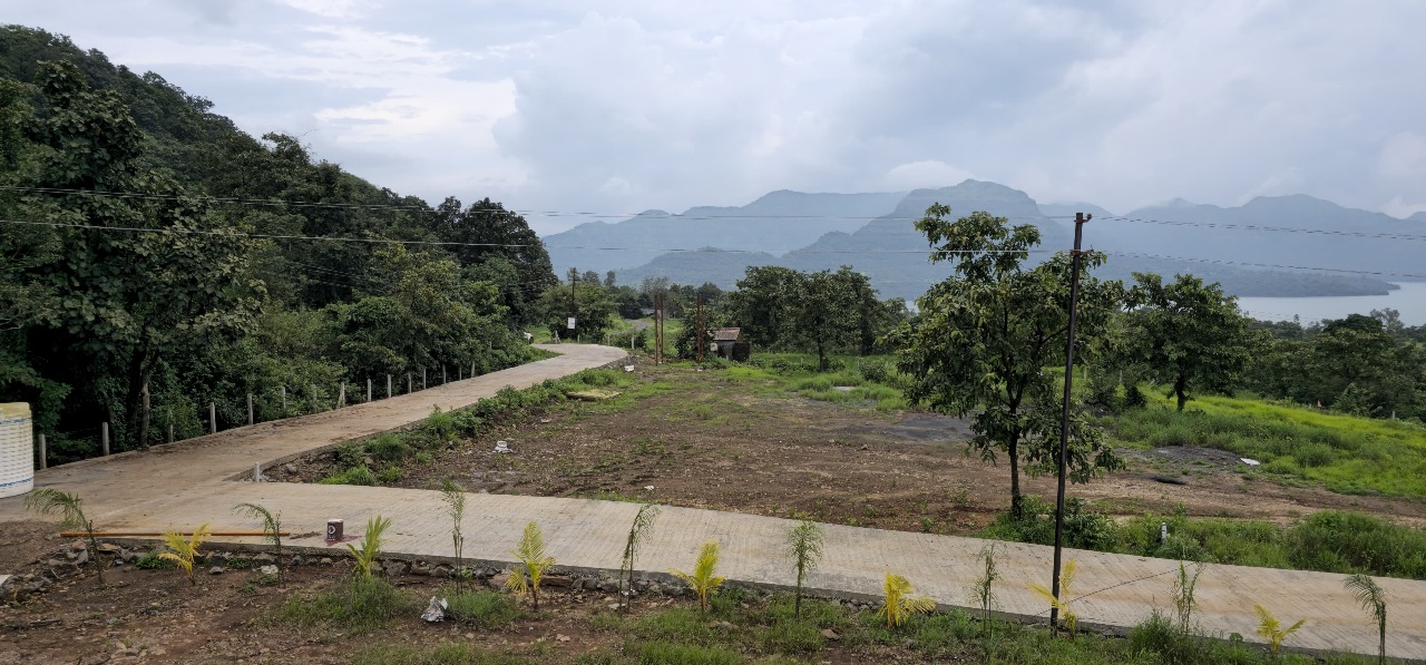 Plot For Sale in Abha Maheshwari