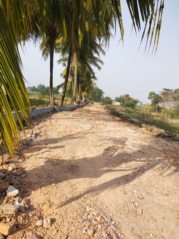 Plot Area in  Plot at Joka – for Sale