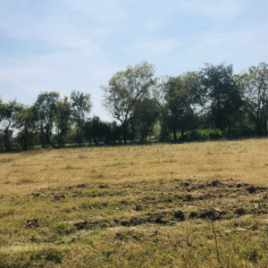 Plot Area in  Plot at Vaishnodevi Circle – for Sale