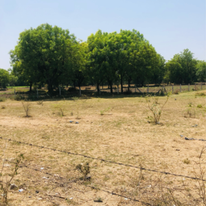  Plot For Sale in Vaishnodevi Circle