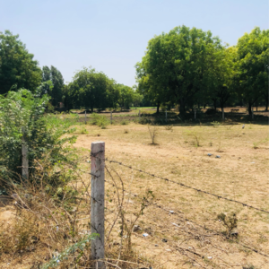 Plot Area in  Plot at Vaishnodevi Circle – for Sale