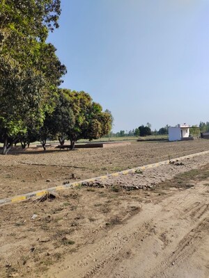 Plot Area in  Plot at Amar Shaheed Path – for Sale