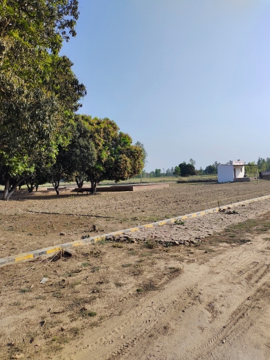 Plot For Sale in Plot Near Ekana Stadium 