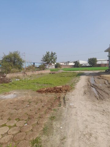 Plot Area in  Plot at Sector 8 – for Sale