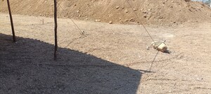 Plot Area in  Plot at SR Rock Town, Mazidpur – for Sale