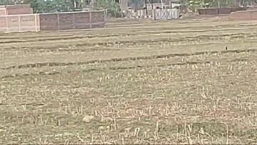 Plot For Sale in Kanke
