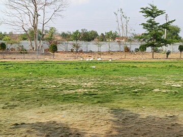 Plot Area in  Plot at Ring Road – for Sale