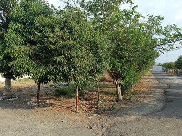 Plot Area in  Plot at Ring Road – for Sale