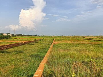  Plot For Sale in Patrapada