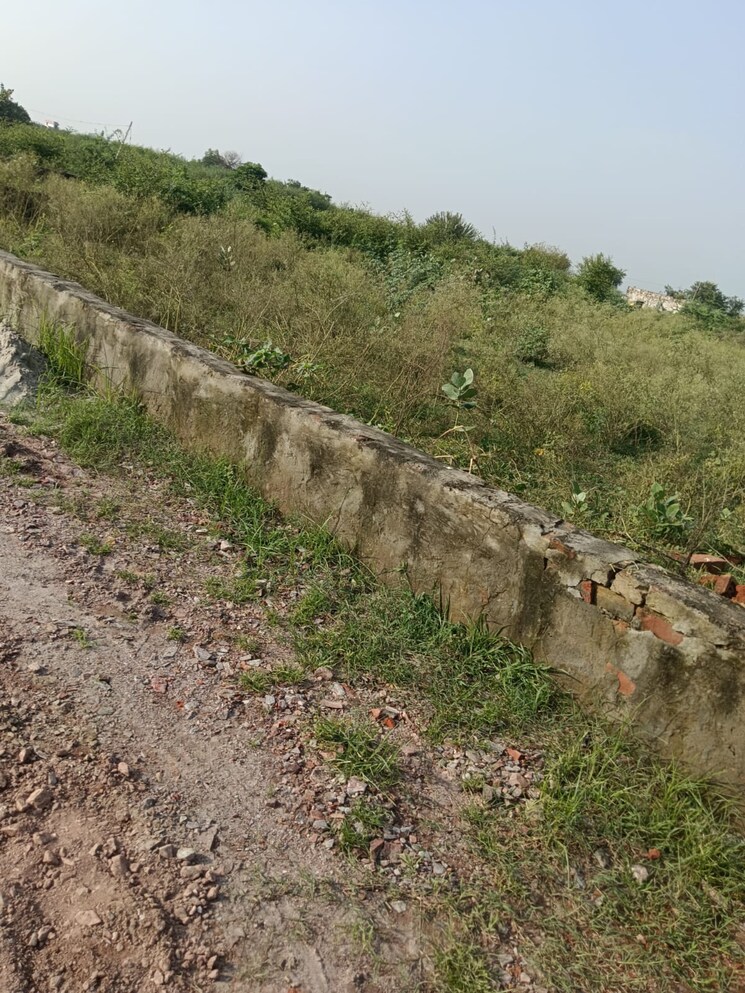 undefined, sector 27 yamuna expressway  254 Sq.Yd. Plot In Sector 27 Yamuna Expressway Greater Noida 8611862