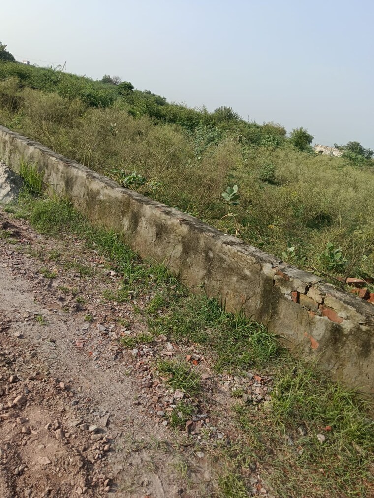 undefined, sector 27 yamuna expressway  254 Sq.Yd. Plot In Sector 27 Yamuna Expressway Greater Noida 8611862