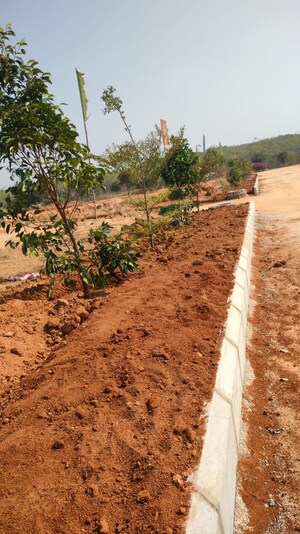 Plot Area in  Plot at Shadnagar – for Sale