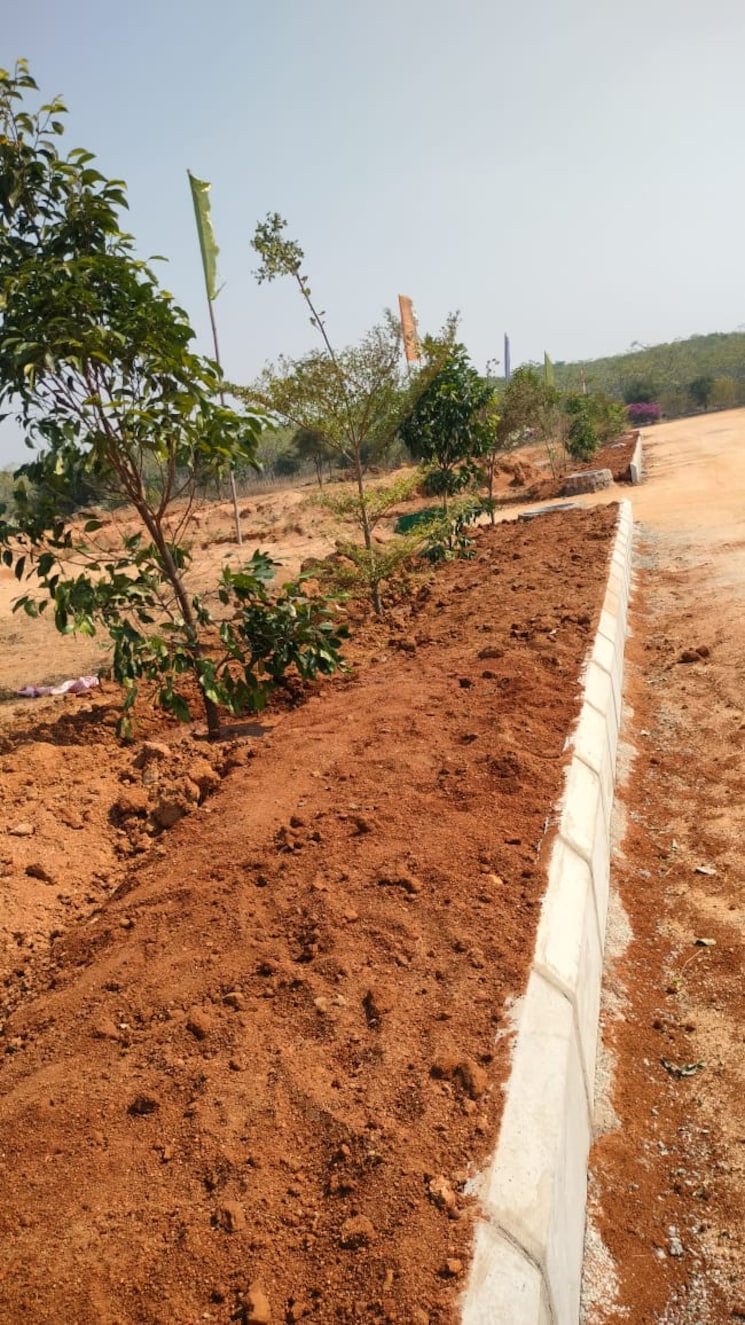 undefined, shadnagar  145 Sq.Yd. Plot In Shadnagar Hyderabad 8612175