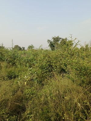 Plot Area in  Plot at Sector 27 Yamuna Expressway – for Sale