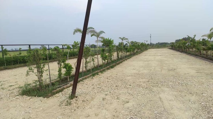 undefined, chunar  1000 Sq.Ft. Plot In Chunar Mirzapur 8614822