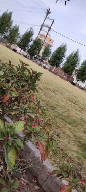  Plot – Garden View at Ringnodiya - for Sale