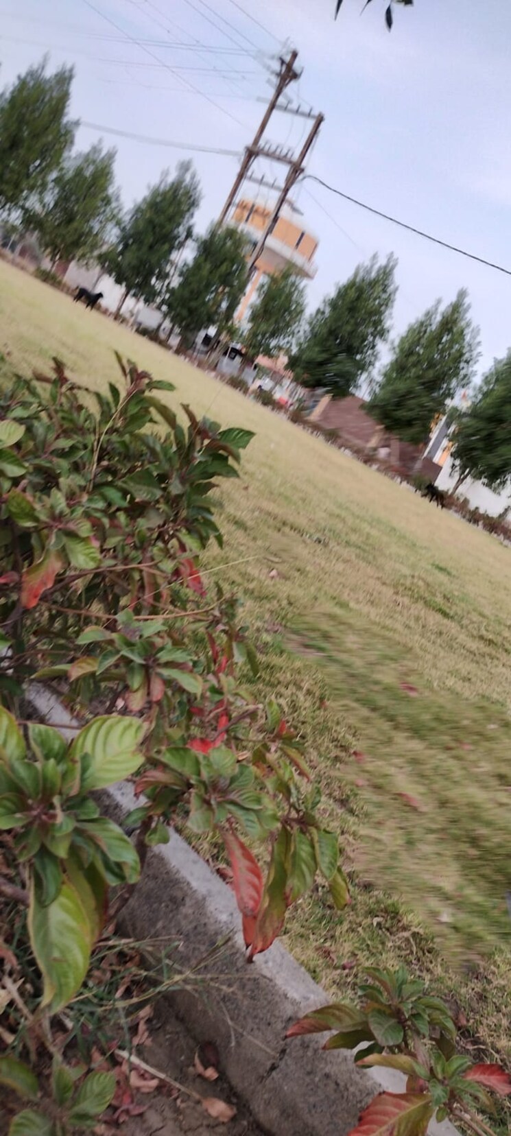 Garden, ringnodiya  600 Sq.Yd. Plot In Ringnodiya Indore 8615769