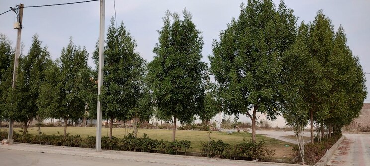 undefined, ringnodiya  600 Sq.Yd. Plot In Ringnodiya Indore 8615769