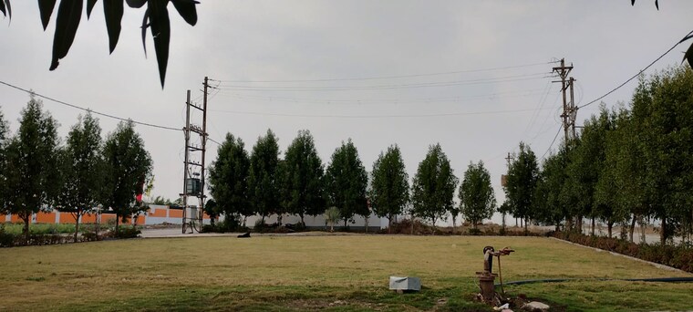 Garden, ringnodiya  600 Sq.Yd. Plot In Ringnodiya Indore 8615769